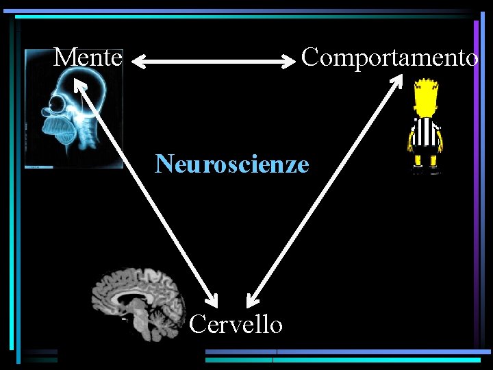 Mente Comportamento Neuroscienze Cervello 