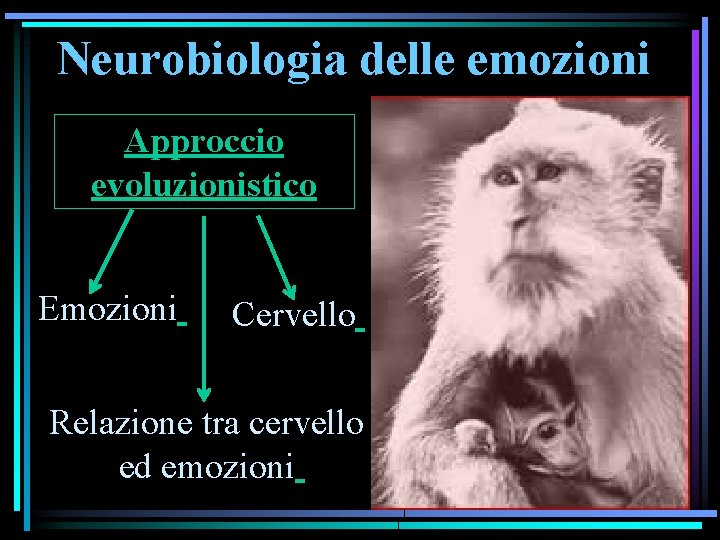 Neurobiologia delle emozioni Approccio evoluzionistico Emozioni Cervello Relazione tra cervello ed emozioni 