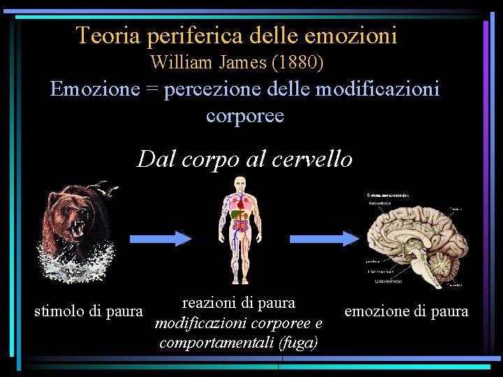 Teoria periferica delle emozioni William James (1880) Emozione = percezione delle modificazioni corporee Dal