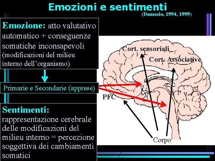 Emozioni e sentimenti (Damasio, 1994, 1999) Emozione: atto valutativo automatico + conseguenze somatiche inconsapevoli