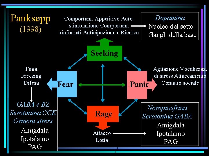 Panksepp (1998) Comportam. Appetitivo Autostimolazione Comportam. rinforzati Anticipazione e Ricerca Dopamina Nucleo del setto