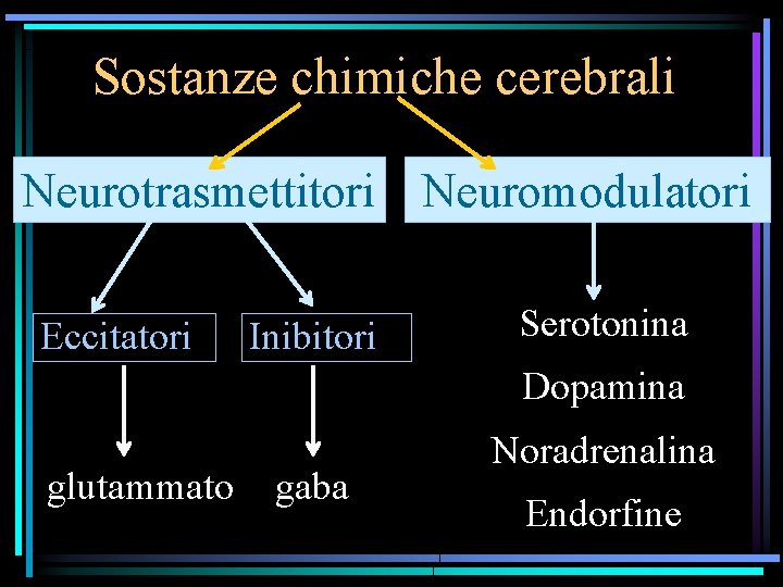 Sostanze chimiche cerebrali Neurotrasmettitori Neuromodulatori Eccitatori Inibitori Serotonina Dopamina glutammato gaba Noradrenalina Endorfine 