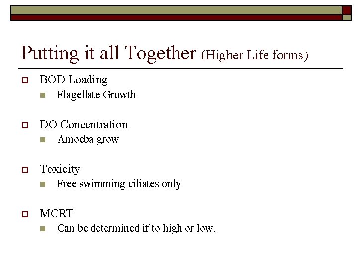 Putting it all Together (Higher Life forms) o BOD Loading n o DO Concentration