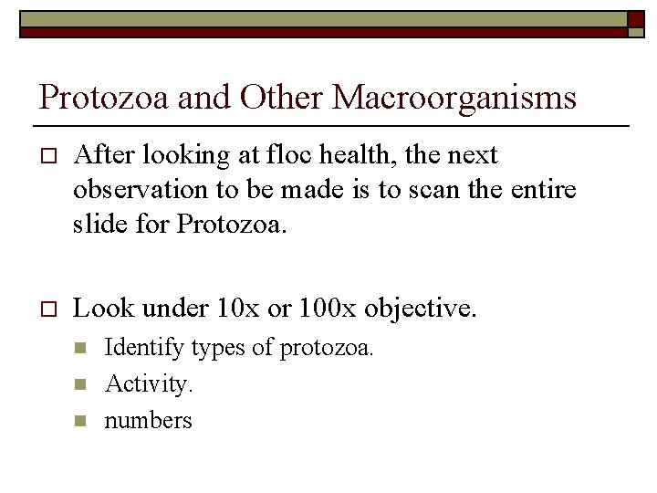 Protozoa and Other Macroorganisms o After looking at floc health, the next observation to