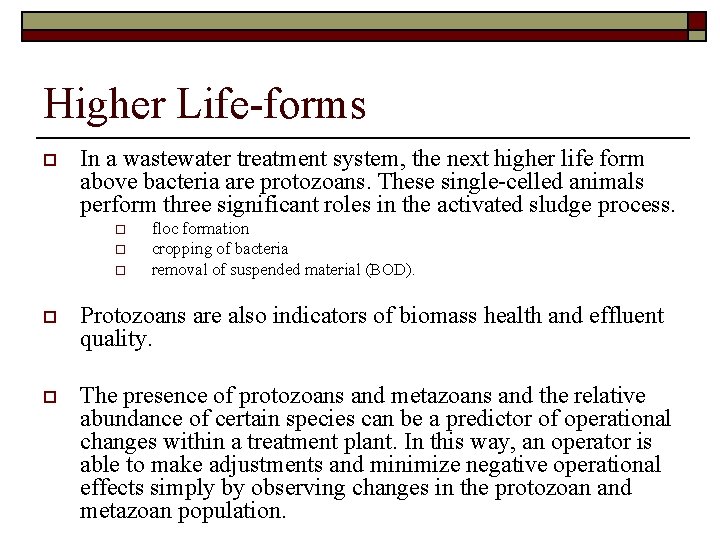 Higher Life-forms o In a wastewater treatment system, the next higher life form above