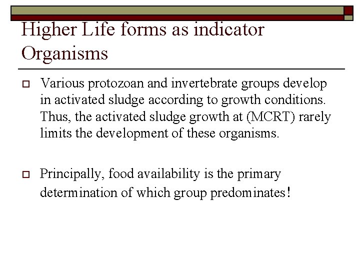 Higher Life forms as indicator Organisms o Various protozoan and invertebrate groups develop in