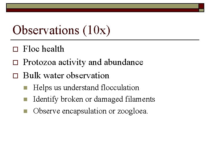 Observations (10 x) o o o Floc health Protozoa activity and abundance Bulk water