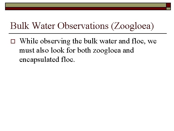 Bulk Water Observations (Zoogloea) o While observing the bulk water and floc, we must