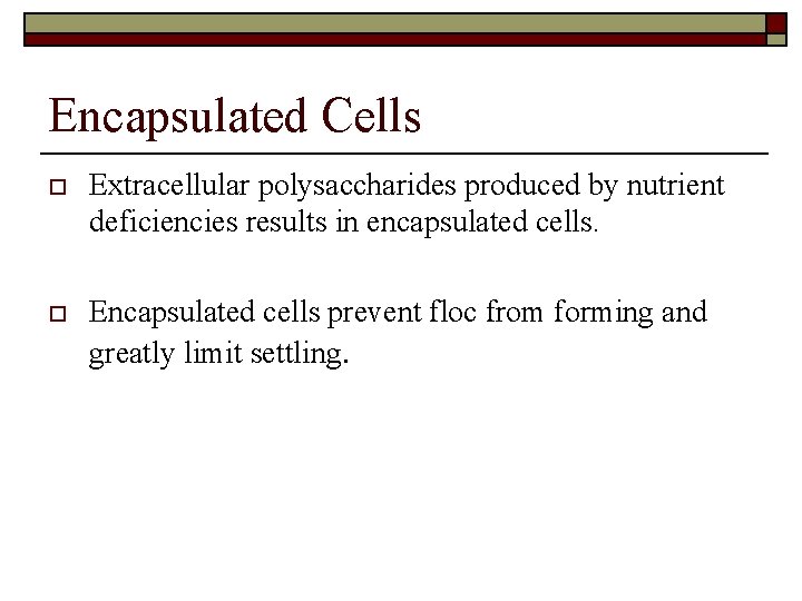Encapsulated Cells o Extracellular polysaccharides produced by nutrient deficiencies results in encapsulated cells. o