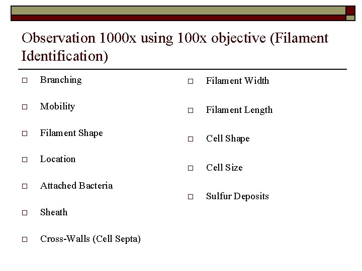 Observation 1000 x using 100 x objective (Filament Identification) o Branching o Filament Width