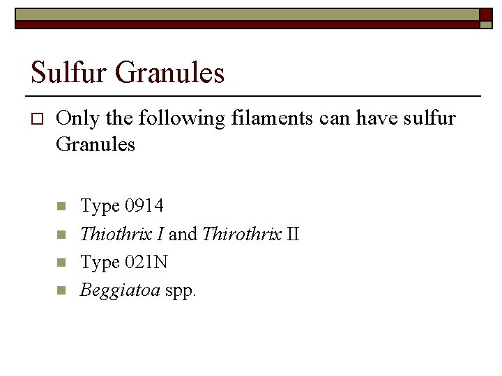 Sulfur Granules o Only the following filaments can have sulfur Granules n n Type