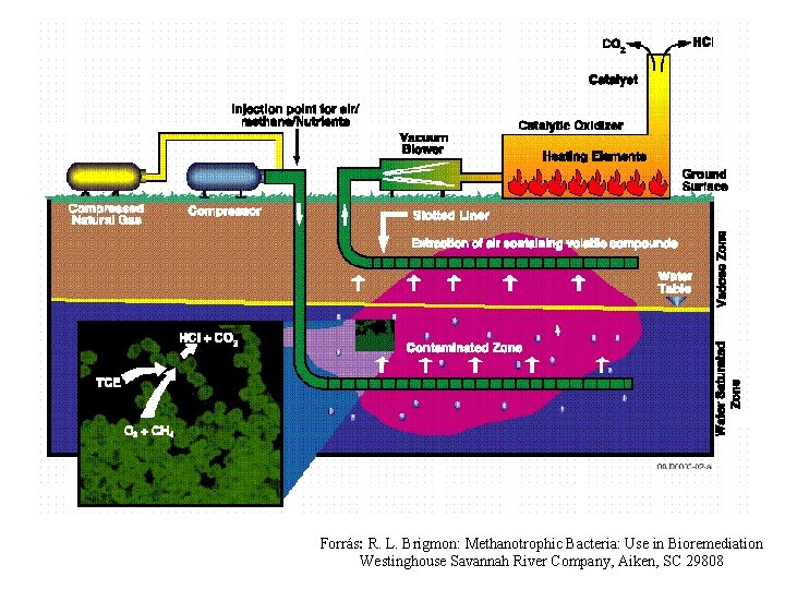 Forrás: R. L. Brigmon: Methanotrophic Bacteria: Use in Bioremediation Westinghouse Savannah River Company, Aiken,