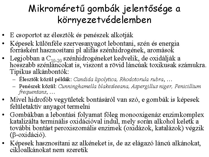 Mikroméretű gombák jelentősége a környezetvédelemben • E csoportot az élesztők és penészek alkotják •