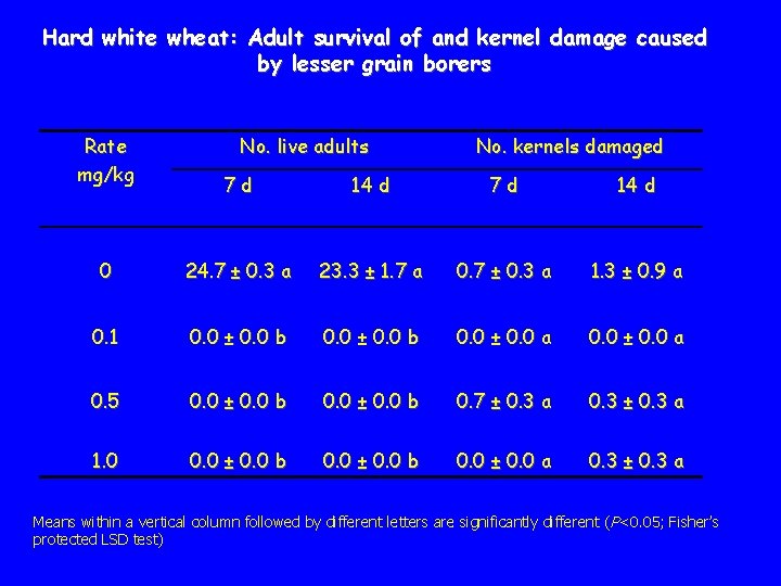 Hard white wheat: Adult survival of and kernel damage caused by lesser grain borers