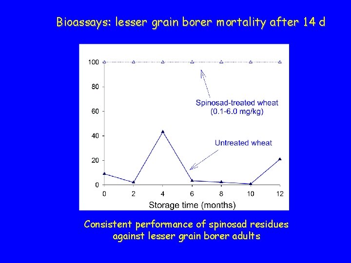 Bioassays: lesser grain borer mortality after 14 d Consistent performance of spinosad residues against