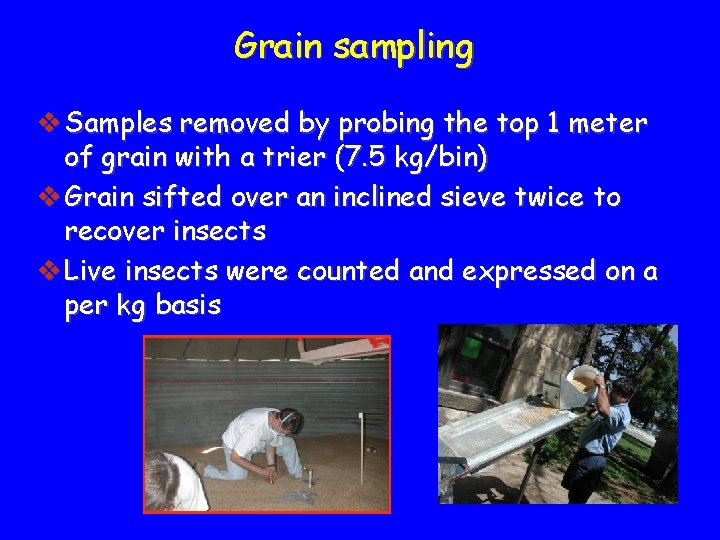 Grain sampling v Samples removed by probing the top 1 meter of grain with
