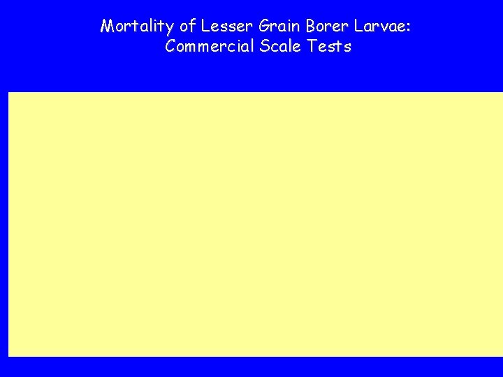 Mortality of Lesser Grain Borer Larvae: Commercial Scale Tests 