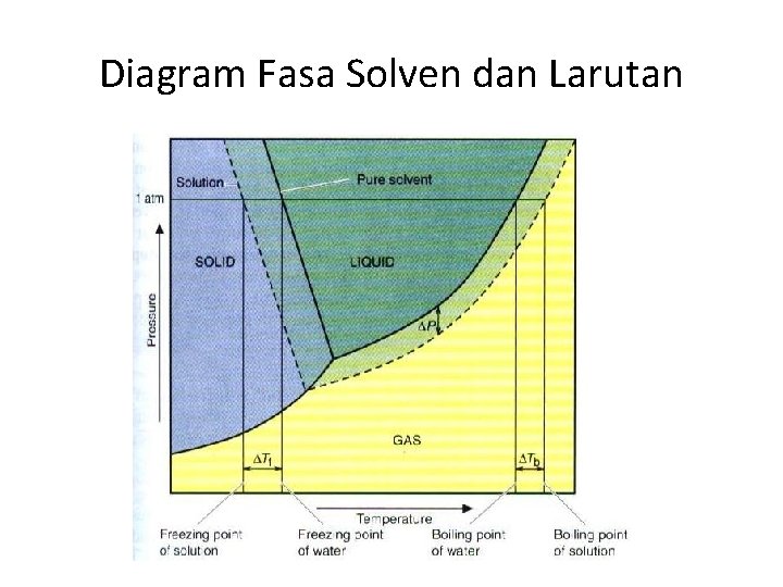 Diagram Fasa Solven dan Larutan 