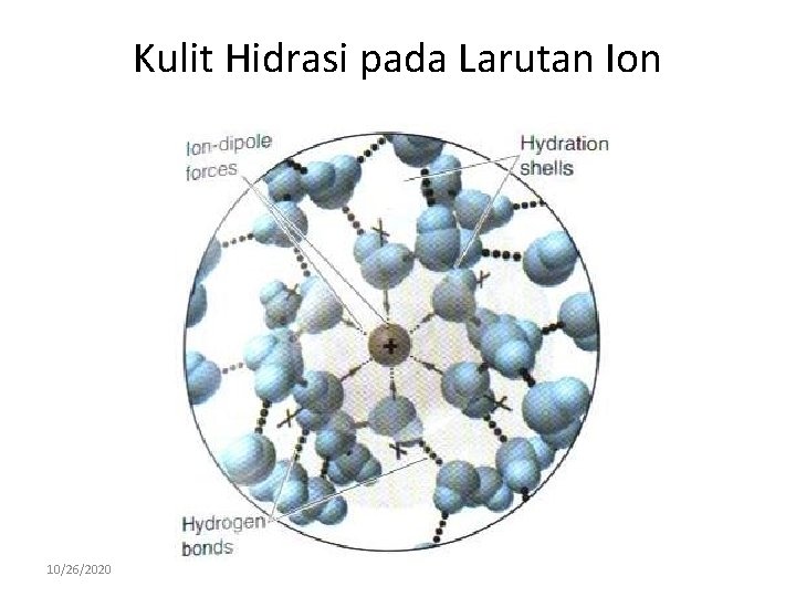 Kulit Hidrasi pada Larutan Ion 10/26/2020 