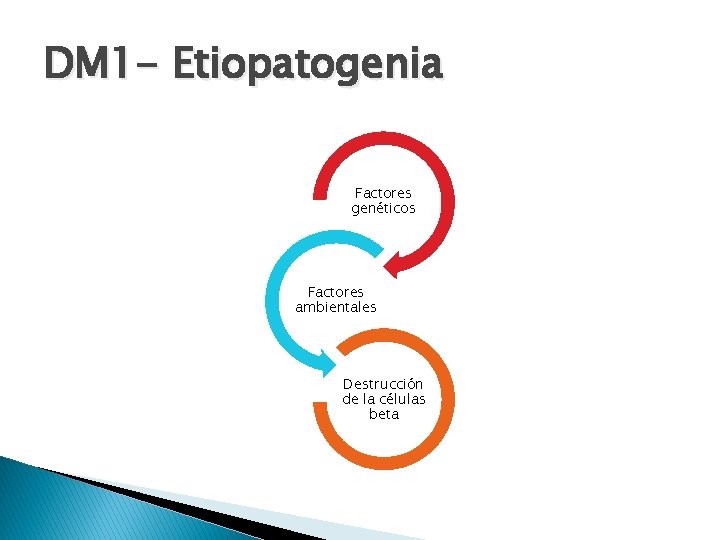 DM 1 - Etiopatogenia Factores genéticos Factores ambientales Destrucción de la células beta 