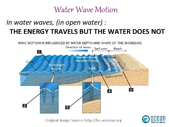 Water Wave Motion In water waves, (in open water) : THE ENERGY TRAVELS BUT