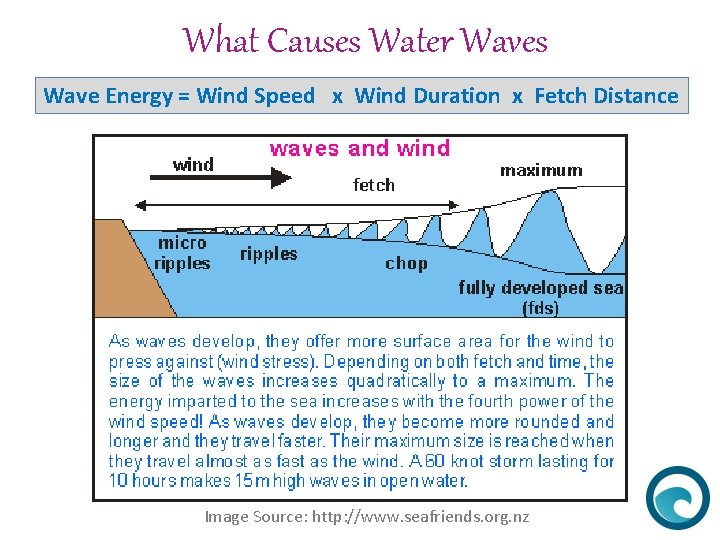 What Causes Water Waves Wave Energy = Wind Speed x Wind Duration x Fetch