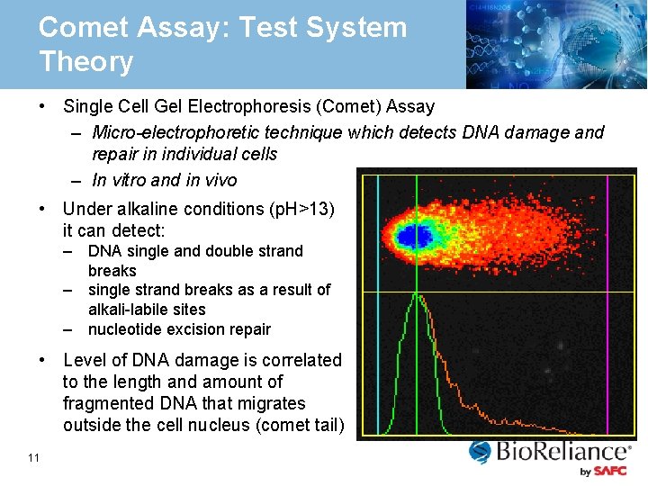 Comet Assay: Test System Theory • Single Cell Gel Electrophoresis (Comet) Assay – Micro-electrophoretic