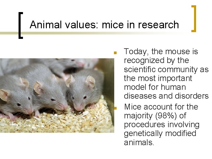 Animal values: mice in research ■ ■ Today, the mouse is recognized by the