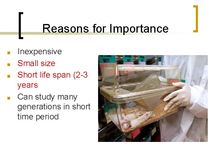 Reasons for Importance ■ ■ Inexpensive Small size Short life span (2 -3 years