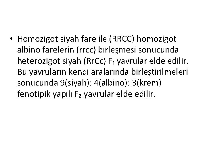  • Homozigot siyah fare ile (RRCC) homozigot albino farelerin (rrcc) birleşmesi sonucunda heterozigot