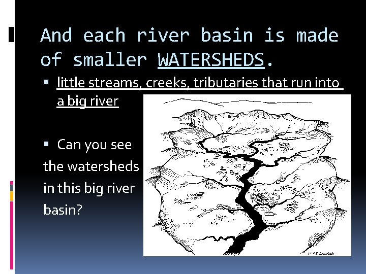 And each river basin is made of smaller WATERSHEDS. little streams, creeks, tributaries that