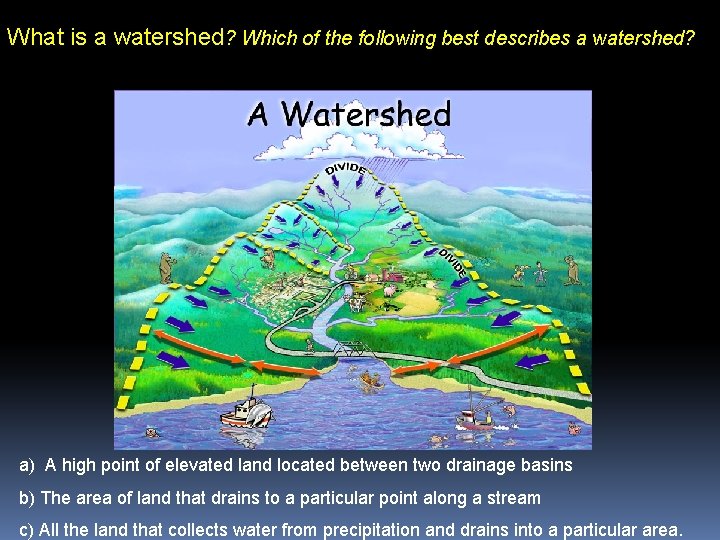 What is a watershed? Which of the following best describes a watershed? a) A