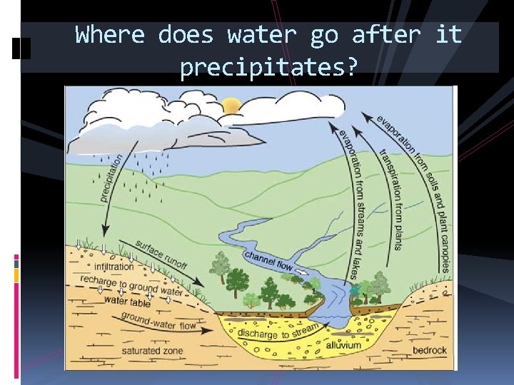 Where does water go after it precipitates? 