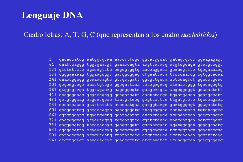 Lenguaje DNA Cuatro letras: A, T, G, C (que representan a los cuatro nucleótidos)