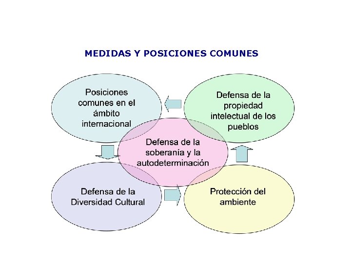 MEDIDAS Y POSICIONES COMUNES 