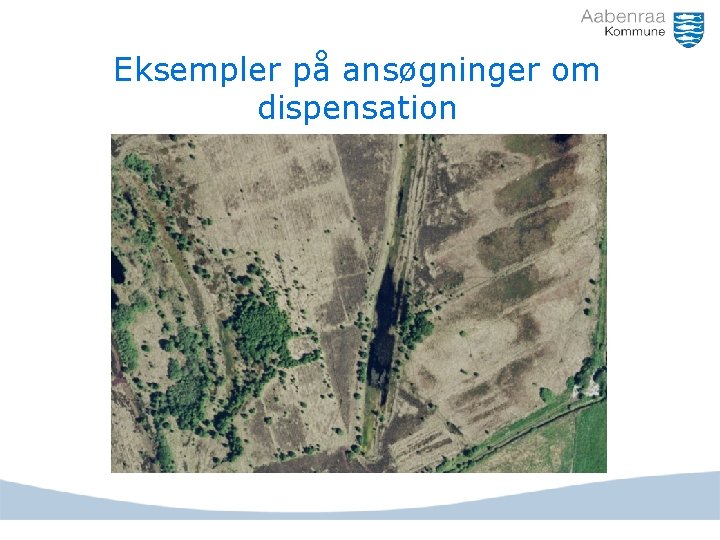 Eksempler på ansøgninger om dispensation 