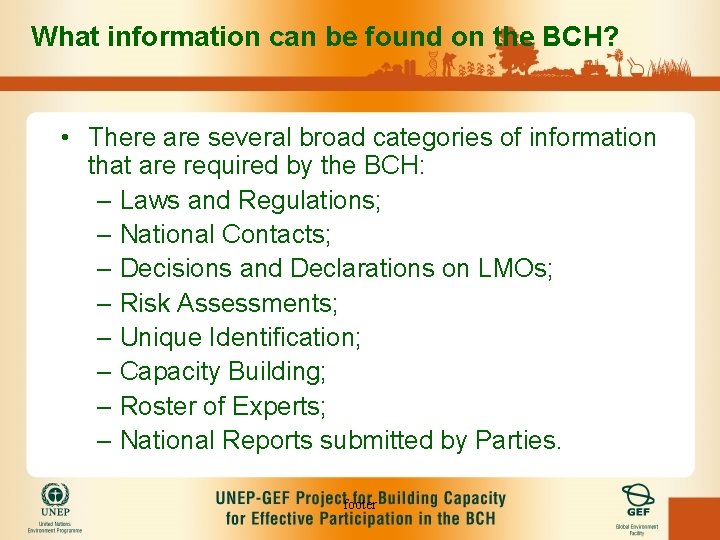 What information can be found on the BCH? • There are several broad categories