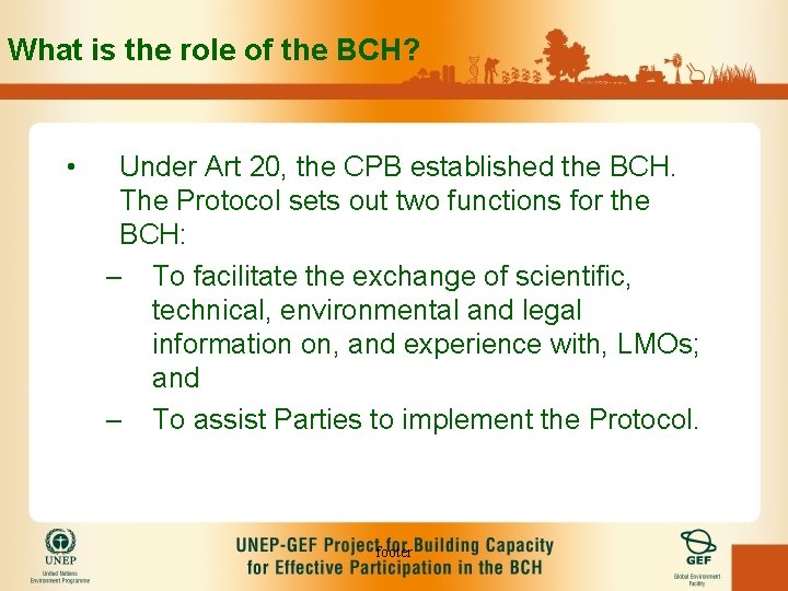 What is the role of the BCH? • Under Art 20, the CPB established