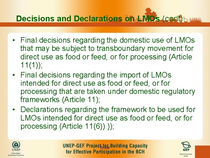 Decisions and Declarations on LMOs (cont) • Final decisions regarding the domestic use of