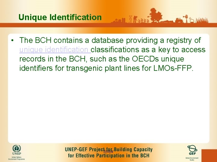 Unique Identification • The BCH contains a database providing a registry of unique identification