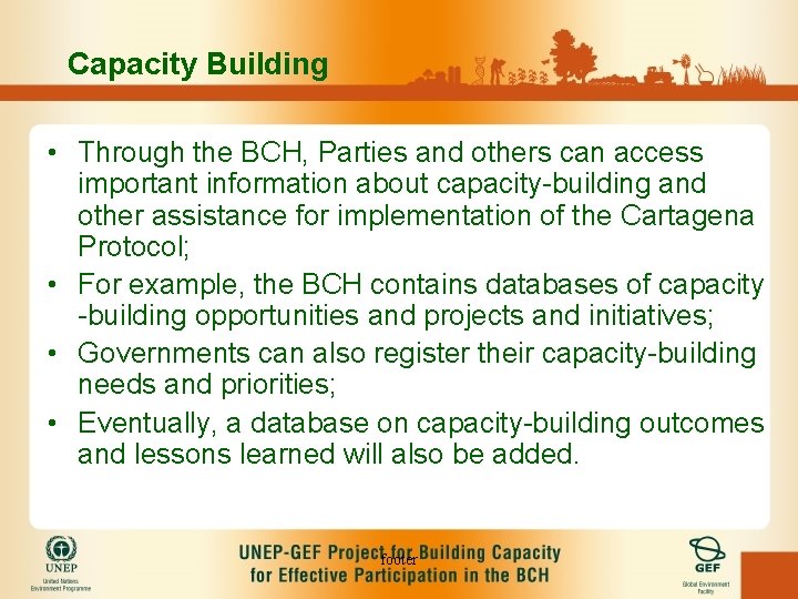 Capacity Building • Through the BCH, Parties and others can access important information about