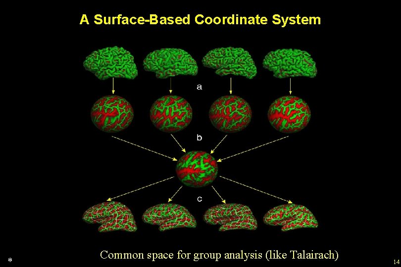 A Surface-Based Coordinate System * Common space for group analysis (like Talairach) 14 