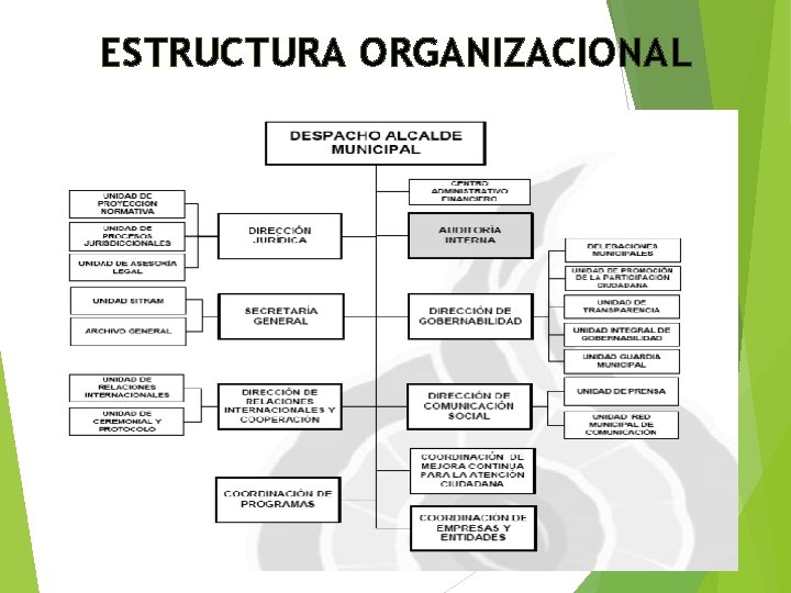 ESTRUCTURA ORGANIZACIONAL 