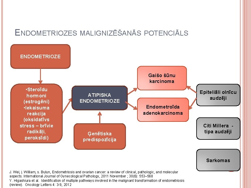 ENDOMETRIOZES MALIGNIZĒŠANĀS POTENCIĀLS ENDOMETRIOZE Gaišo šūnu karcinoma • Steroīdu hormoni (estrogēni) • Iekaisuma reakcija