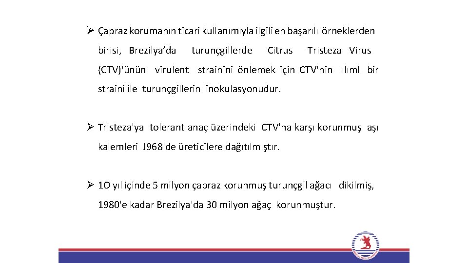 Ø Çapraz korumanın ticari kullanımıyla ilgili en başarılı örneklerden birisi, Brezilya’da turunçgillerde Citrus Tristeza