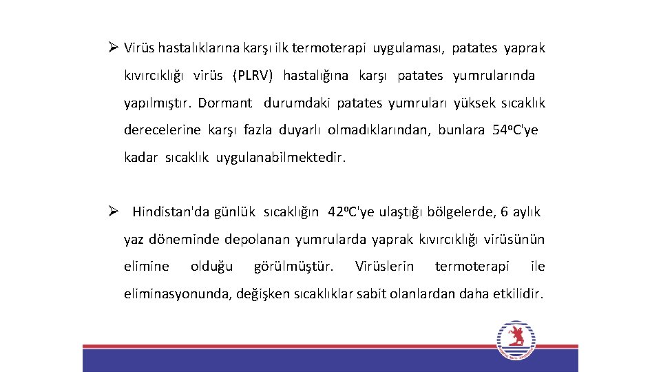 Ø Virüs hastalıklarına karşı ilk termoterapi uygulaması, patates yaprak kıvırcıklığı virüs (PLRV) hastalığına karşı