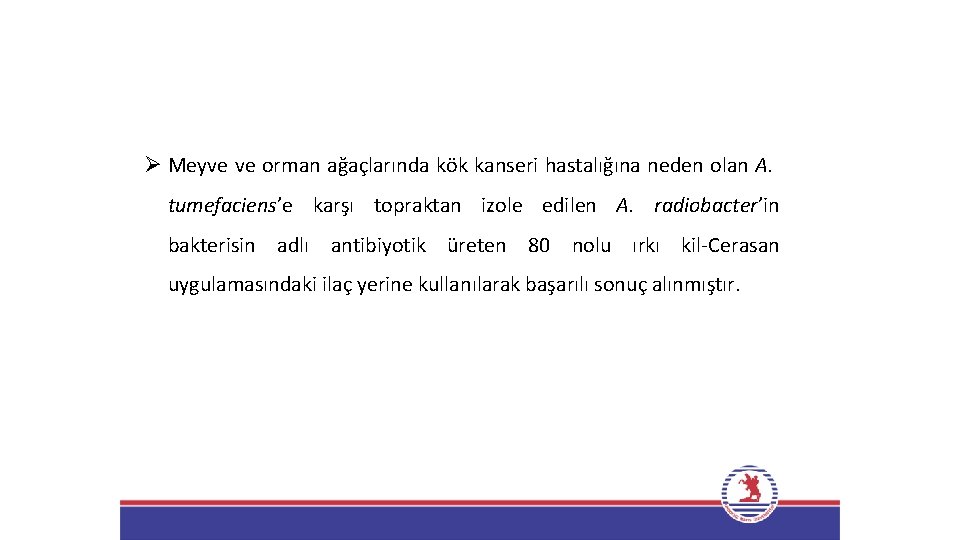 Ø Meyve ve orman ağaçlarında kök kanseri hastalığına neden olan A. tumefaciens’e karşı topraktan