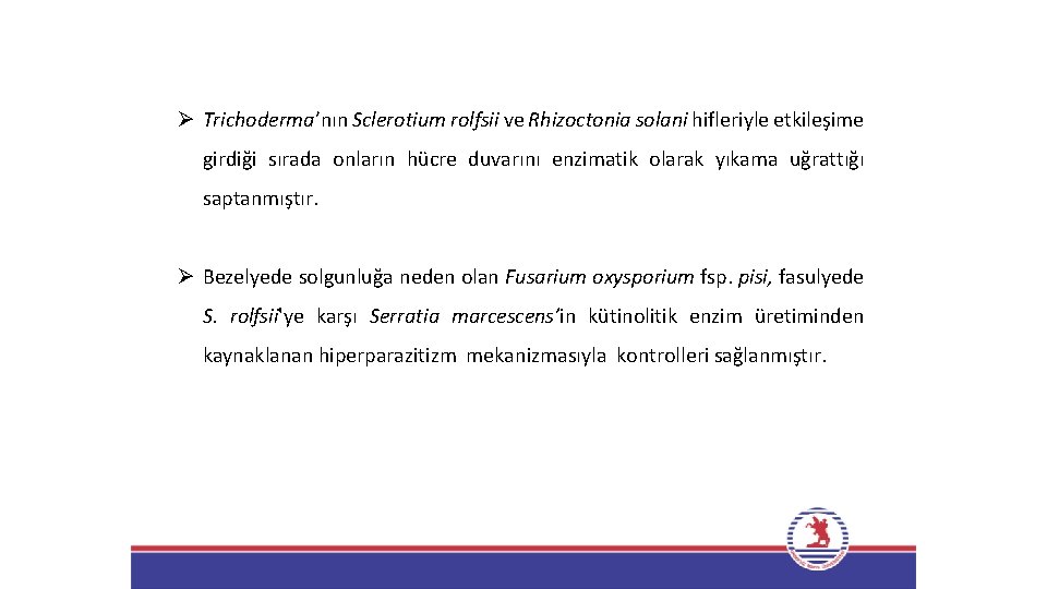 Ø Trichoderma’nın Sclerotium rolfsii ve Rhizoctonia solani hifleriyle etkileşime girdiği sırada onların hücre duvarını