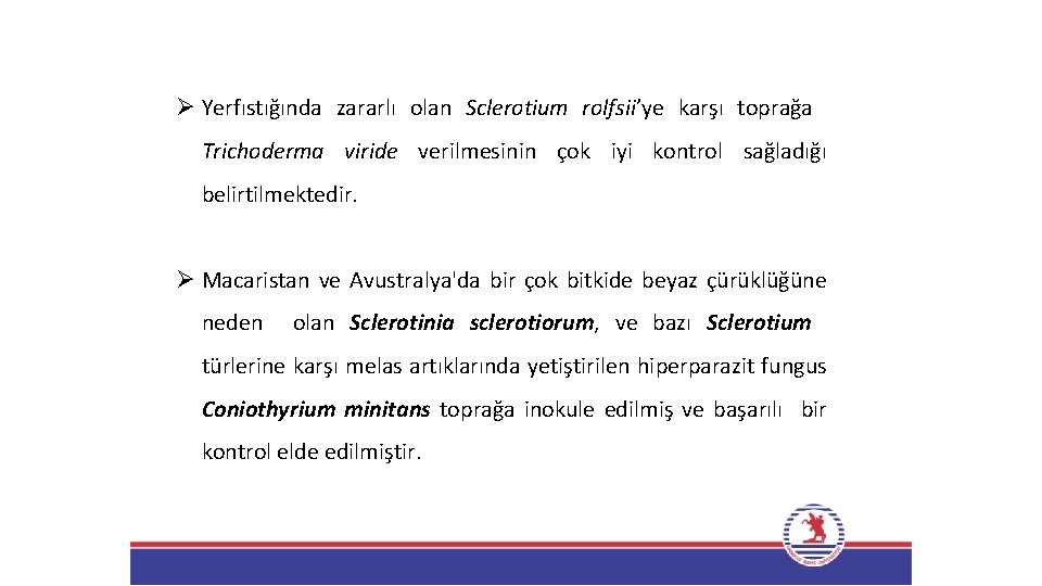 Ø Yerfıstığında zararlı olan Sclerotium rolfsii’ye karşı toprağa Trichoderma viride verilmesinin çok iyi kontrol