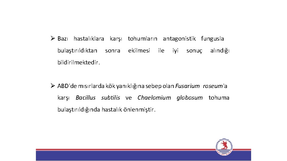 Ø Bazı hastalıklara karşı tohumların antagonistik fungusla bulaştırıldıktan sonra ekilmesi ile iyi sonuç alındığı